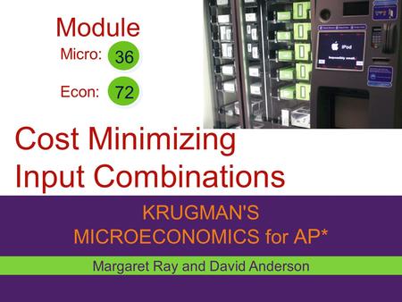 Cost Minimizing Input Combinations