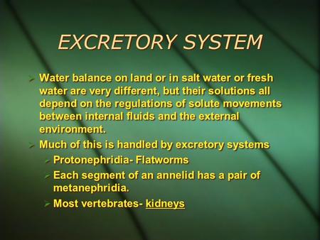 EXCRETORY SYSTEM  Water balance on land or in salt water or fresh water are very different, but their solutions all depend on the regulations of solute.