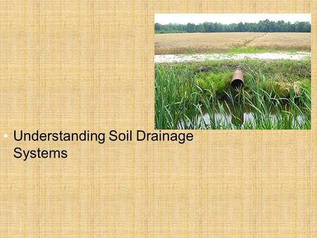 Understanding Soil Drainage Systems