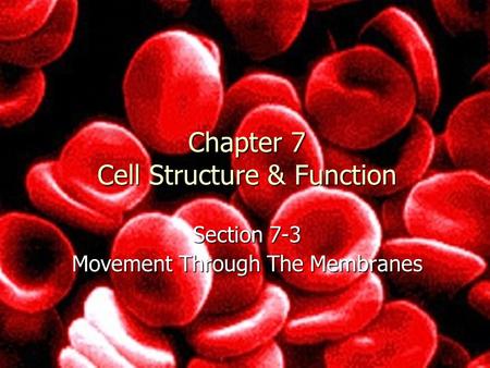 Chapter 7 Cell Structure & Function