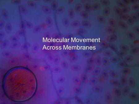 Molecular Movement Across Membranes. What you need to know! How water will move if a cell is placed in an isotonic, hypertonic, or hypotonic solution.