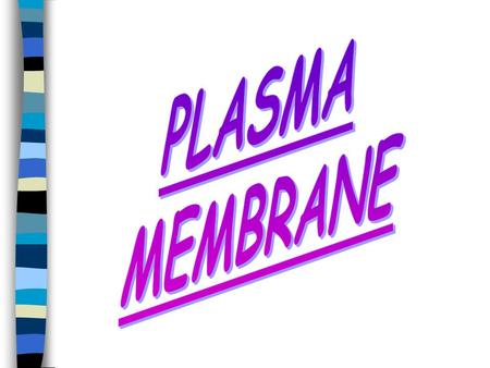PLASMA MEMBRANE The Plasma Membrane is the outer membrane that covers the cell The cell activity will depend on the materials that enter and exit.