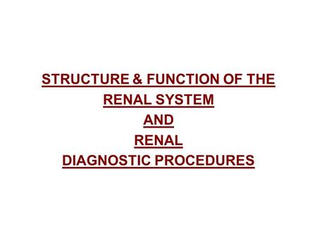 STRUCTURE & FUNCTION OF THE RENAL SYSTEM AND RENAL DIAGNOSTIC PROCEDURES.