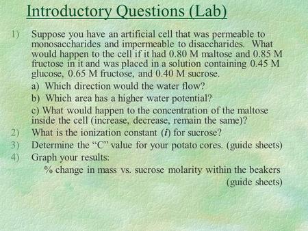 Introductory Questions (Lab)