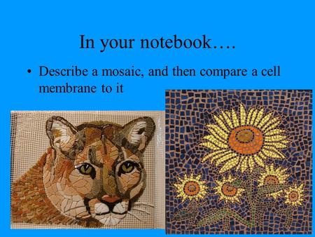 In your notebook…. Describe a mosaic, and then compare a cell membrane to it.