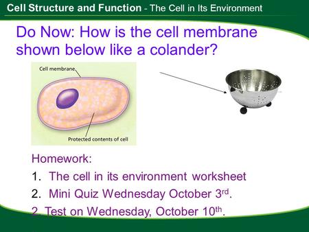 Do Now: How is the cell membrane shown below like a colander?