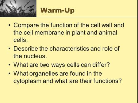 Warm-Up Compare the function of the cell wall and the cell membrane in plant and animal cells. Describe the characteristics and role of the nucleus. What.