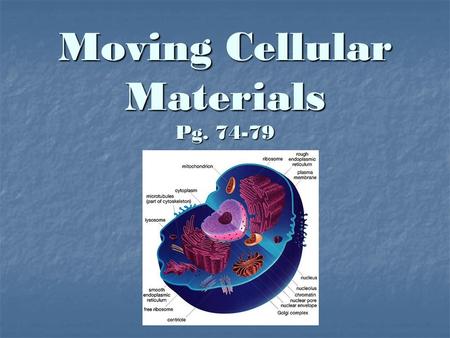 Moving Cellular Materials Pg