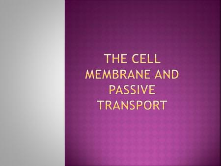 We need to understand the basic process of transport across a plasma membrane. We are learning...  That the cell has a semi-permeable membrane  To understand.