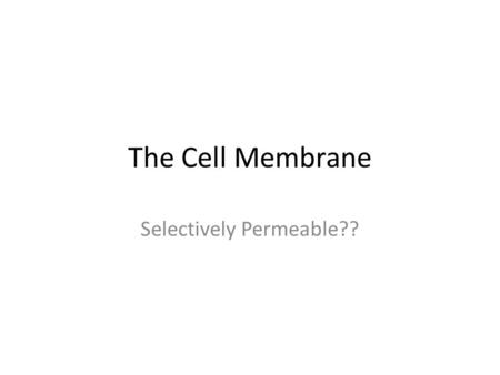 Selectively Permeable??