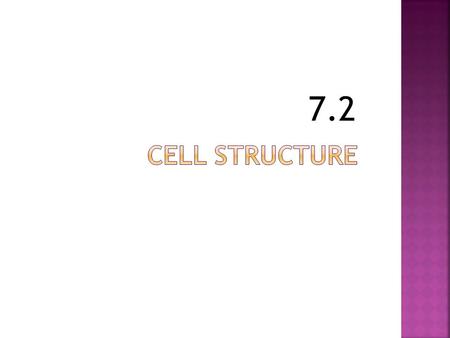 7.2. Cell divided into:  Cytoplasm (found outside the nucleus)  Nucleus.