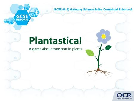 Build a plant by collecting a root, stem, leaves and a flower in a minimum of 5 moves by answering questions about transport in plants. Pick a different.