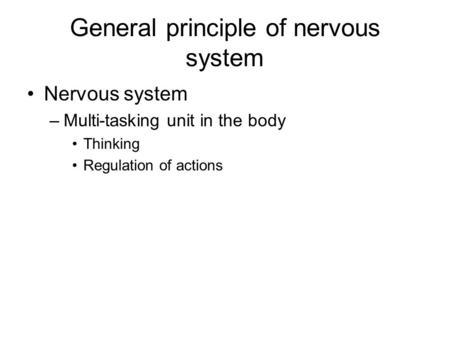 General principle of nervous system Nervous system –Multi-tasking unit in the body Thinking Regulation of actions.