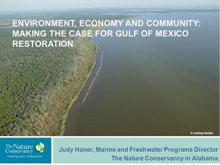 Judy Haner, Marine and Freshwater Programs Director The Nature Conservancy in Alabama © JoeBay Aerials ENVIRONMENT, ECONOMY AND COMMUNITY: MAKING THE CASE.