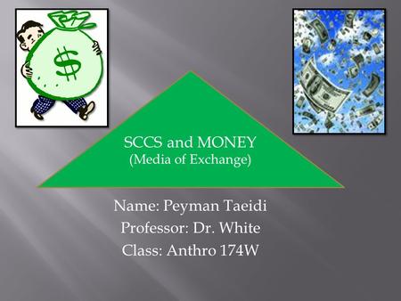 Name: Peyman Taeidi Professor: Dr. White Class: Anthro 174W SCCS and MONEY (Media of Exchange)