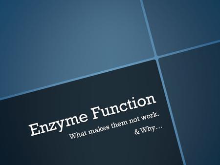 Enzyme Function What makes them not work. & Why….