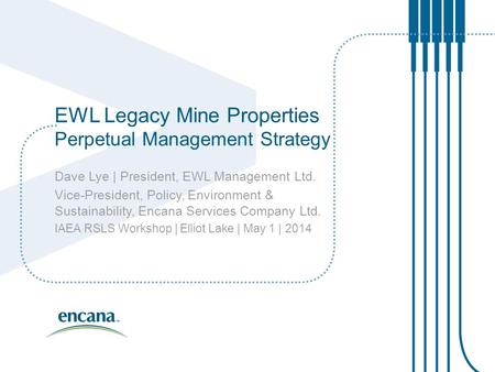 EWL Legacy Mine Properties Perpetual Management Strategy