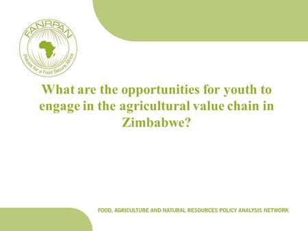 What are the opportunities for youth to engage in the agricultural value chain in Zimbabwe?