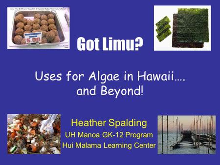 Got Limu? Uses for Algae in Hawaii…. and Beyond!