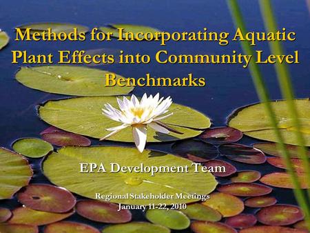 Methods for Incorporating Aquatic Plant Effects into Community Level Benchmarks EPA Development Team Regional Stakeholder Meetings January 11-22, 2010.