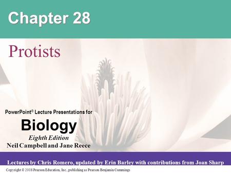 Chapter 28 Protists.