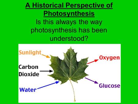 A Historical Perspective of Photosynthesis Is this always the way photosynthesis has been understood?