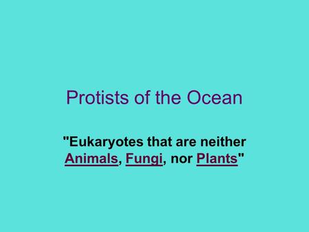 Eukaryotes that are neither Animals, Fungi, nor Plants