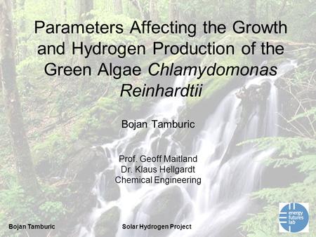 Bojan TamburicSolar Hydrogen Project Parameters Affecting the Growth and Hydrogen Production of the Green Algae Chlamydomonas Reinhardtii Bojan Tamburic.