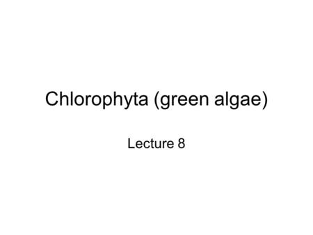Chlorophyta (green algae) Lecture 8. OVERVIEW Eubacteria & Protists Cyanophyta “Phytoplankton” Chlorophyta, Phaeophyta, Rhodophyta Vascular Plants (Gymnosperms.
