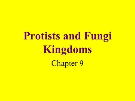 Protists and Fungi Kingdoms Chapter 9. What is a protist? A single or many-celled organism that lives in moist or wet surroundings.