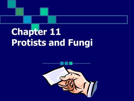 Chapter 11 Protists and Fungi An organism that belongs to the kingdom Protista Click for Term.