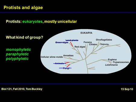 Protists: eukaryotes, mostly unicellular Protists and algae Biol 121, Fall 2010, Tom Buckley 15 Sep 10 What kind of group? monophyletic paraphyletic polyphyletic.