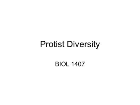 Protist Diversity BIOL 1407. Protists Eukaryotes that are not plants, animals or fungi Area of intense research Taxonomy in flux.