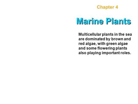 Chapter 4 Marine Plants Multicellular plants in the sea are dominated by brown and red algae, with green algae and some flowering plants also playing important.