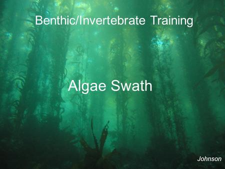 Benthic/Invertebrate Training Algae Swath Johnson.