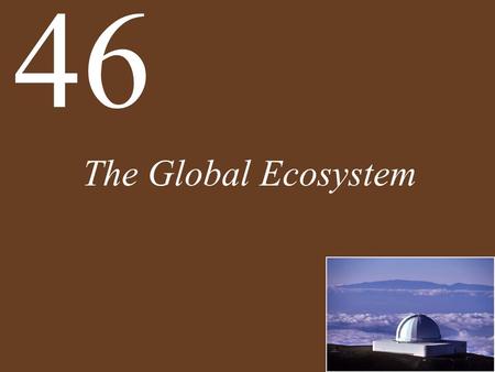 46 The Global Ecosystem.