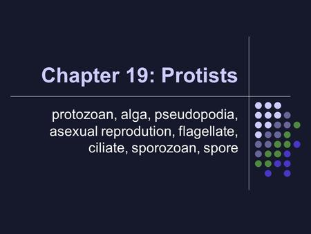 Chapter 19: Protists protozoan, alga, pseudopodia, asexual reprodution, flagellate, ciliate, sporozoan, spore.