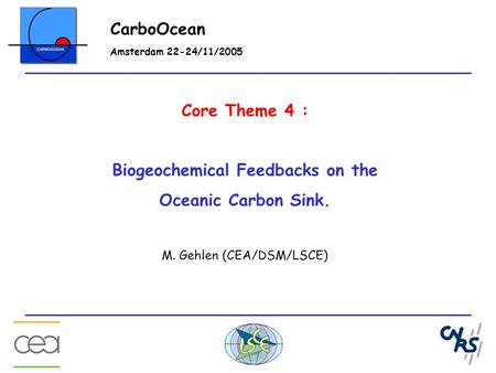 Core Theme 4 : Biogeochemical Feedbacks on the Oceanic Carbon Sink. M. Gehlen (CEA/DSM/LSCE) CarboOcean Amsterdam 22-24/11/2005.