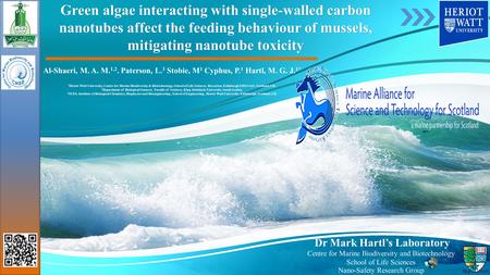 Green algae interacting with single-walled carbon nanotubes affect the feeding behaviour of mussels, mitigating nanotube toxicity Al-Shaeri, M. A. M. 1,2.