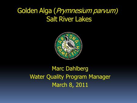 Golden Alga (Prymnesium parvum ) Salt River Lakes Marc Dahlberg Water Quality Program Manager March 8, 2011.