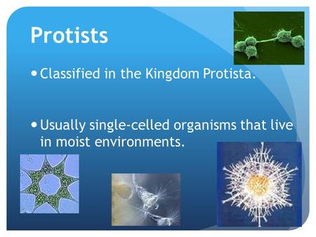 Protists Classified in the Kingdom Protista. Usually single-celled organisms that live in moist environments.