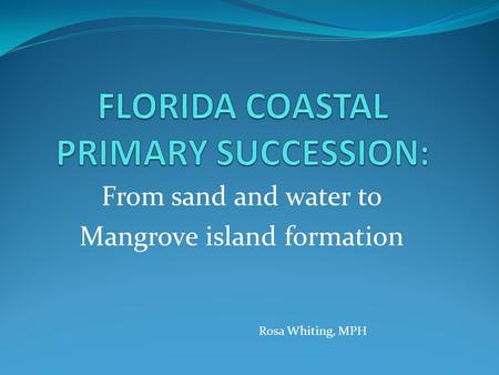 From sand and water to Mangrove island formation Rosa Whiting, MPH.