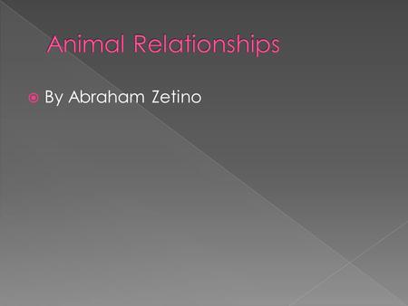  By Abraham Zetino.  Mutualism is when both organisms benefit from the relationship.  Ex: A rhino is not irritated because birds are eating fleas/bugs.