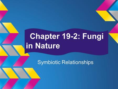 Chapter 19-2: Fungi in Nature