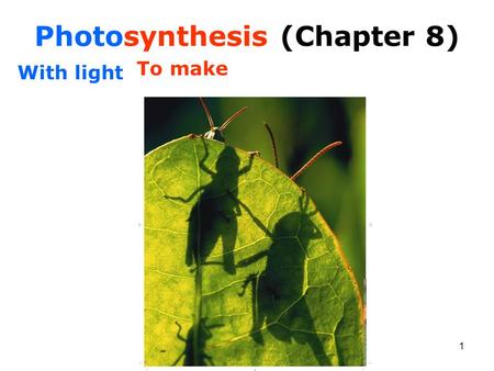 Photosynthesis (Chapter 8)