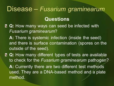 Disease – Fusarium graminearum Questions Q: How many ways can seed be infected with Fusarium graminearum? A: There is systemic infection (inside the seed)