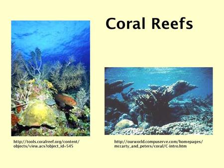 mccarty_and_peters/coral/C-intro.htm Coral Reefs  objects/view.acs?object_id=545.