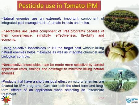 Pesticide use in Tomato IPM Natural enemies are an extremely important component of integrated pest management of tomato insects and mites. Insecticides.