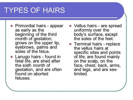 TYPES OF HAIRS Primordial hairs - appear as early as the beginning of the third month of gestation; grows on the upper lip, eyebrows, palms and soles of.