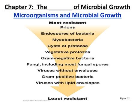 Chapter 7: The _______ of Microbial Growth Microorganisms and Microbial Growth Figure 7.11.